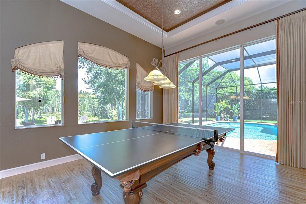 Game Room, Glass Ceilings, Interior, Pendant Lights, Pool, Recessed Lighting, Sun Room, Wood Texture Flooring