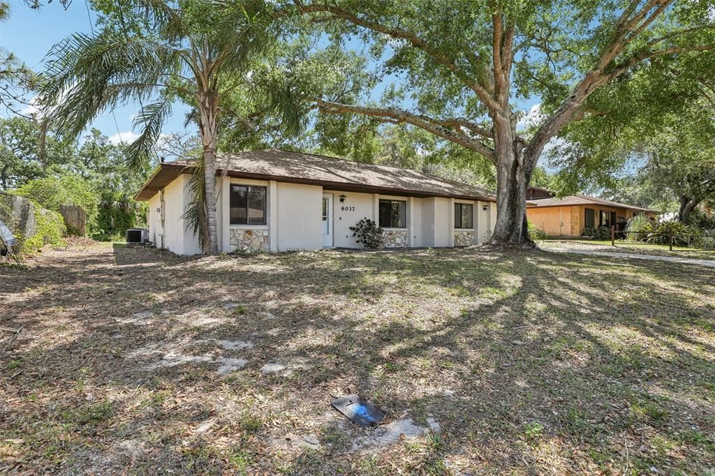 Backyard, Exterior