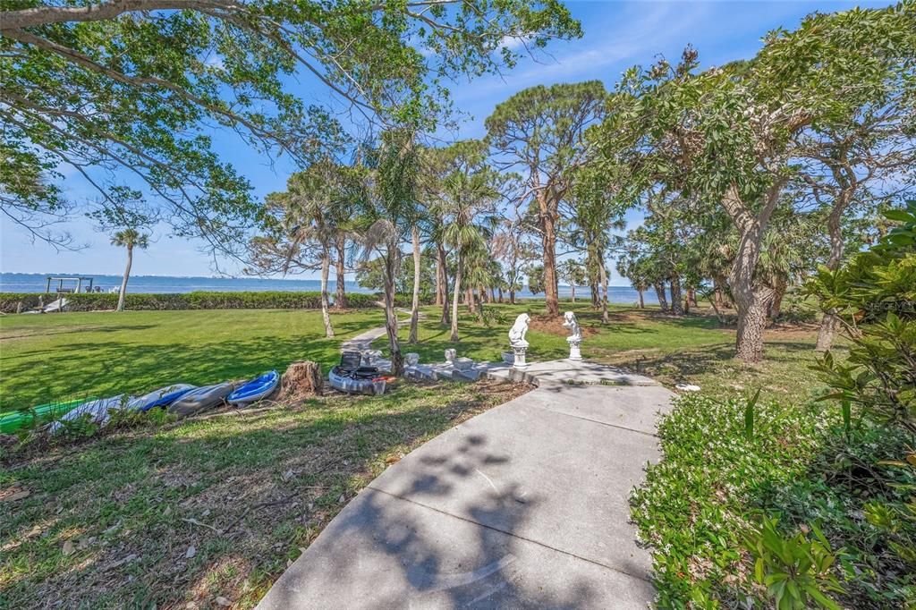 Backyard, Exterior, Water