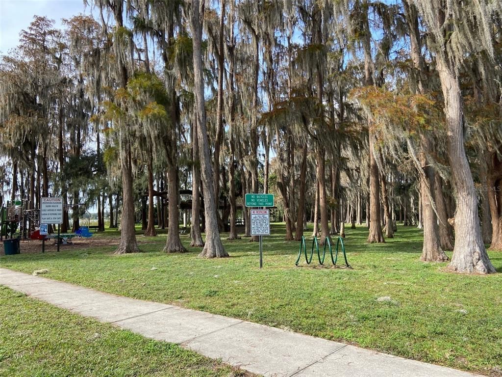 Backyard, Exterior, Playground