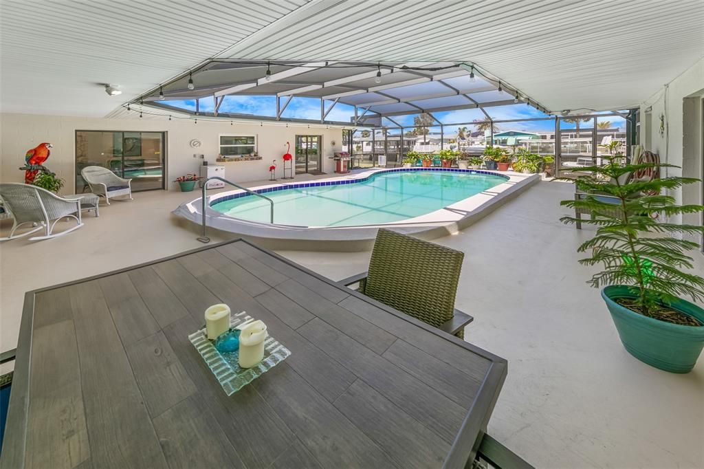 Glass Ceilings, Interior, Pool, Sun Room