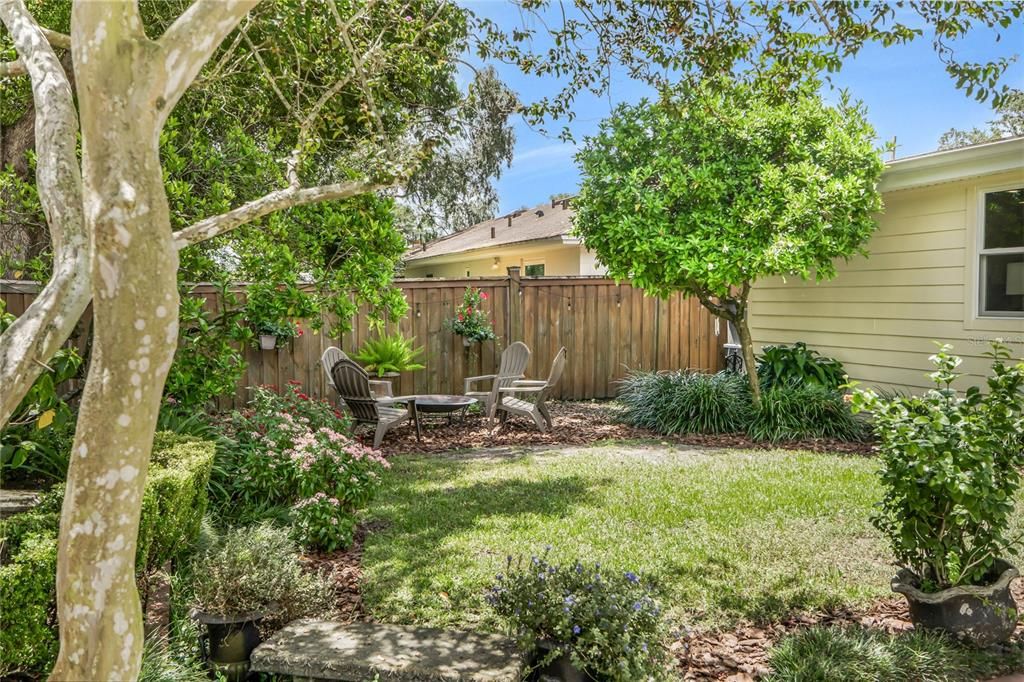 Backyard, Exterior