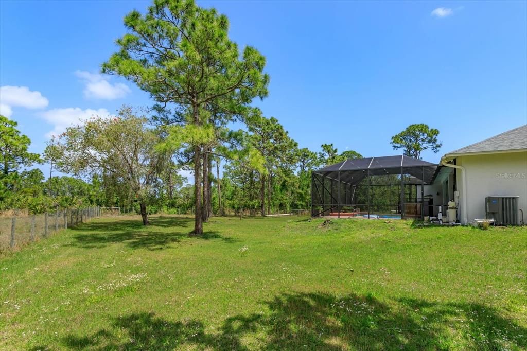 Backyard, Exterior