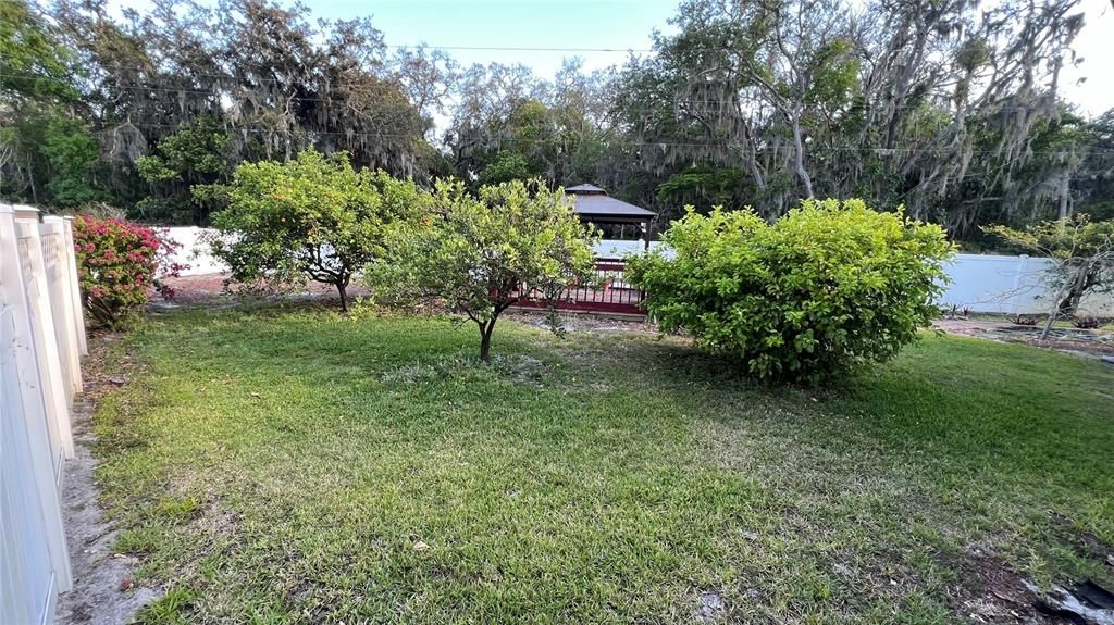 Backyard, Exterior