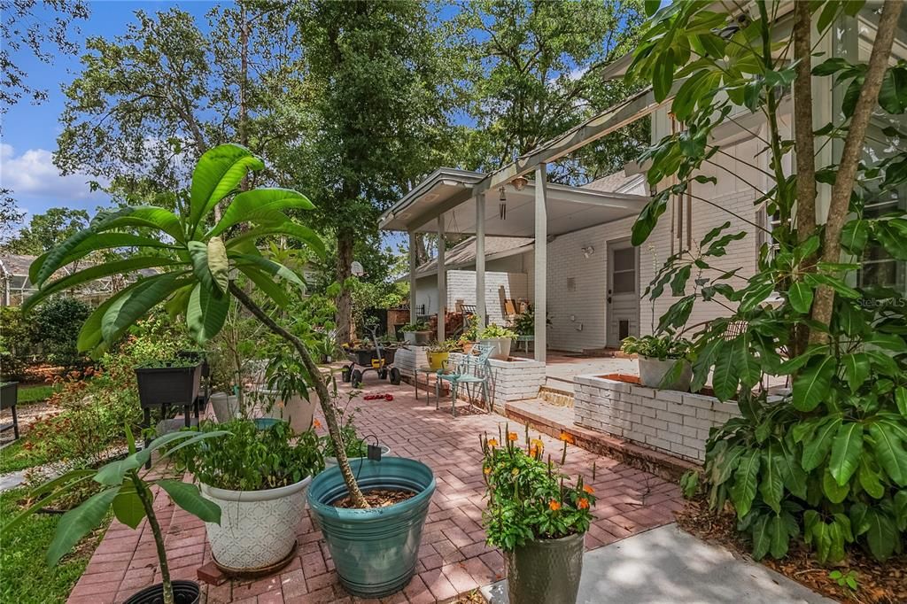 Backyard, Exterior