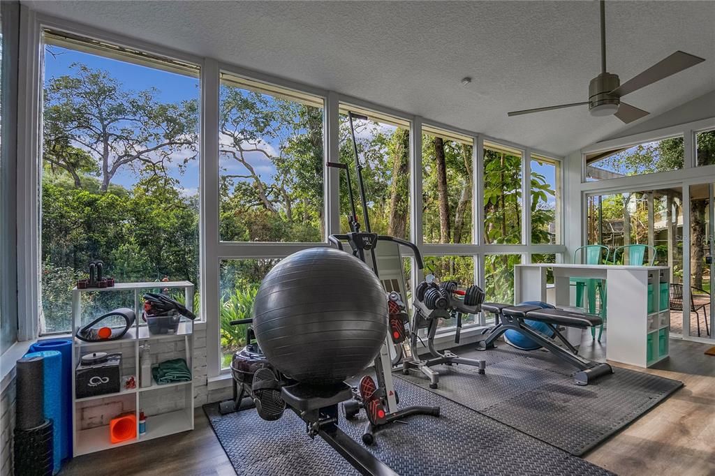 Fitness Equipment, Interior, Sun Room, Wood Texture Flooring