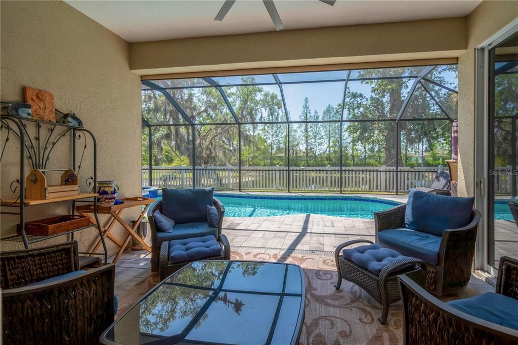 Glass Ceilings, Interior, Pool, Sun Room