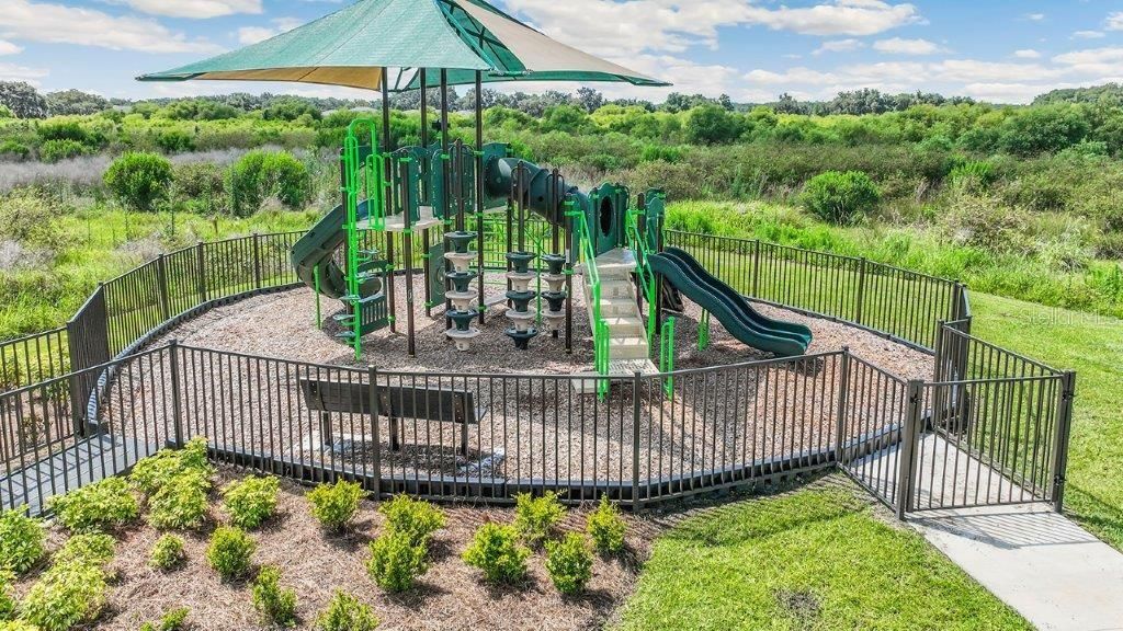 Backyard, Exterior, Playground