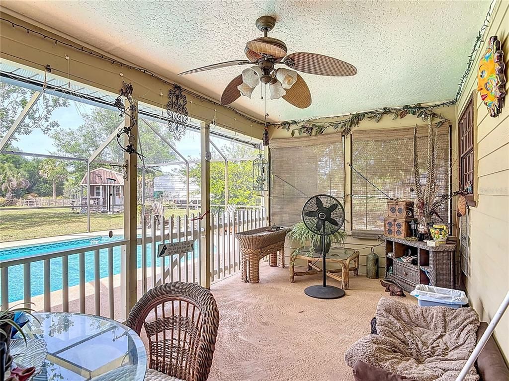 Glass Ceilings, Interior, Pool, Sun Room