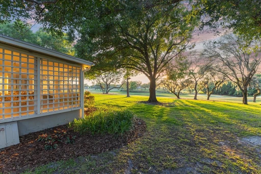 Backyard, Exterior