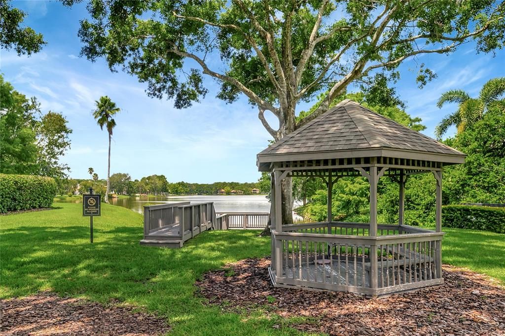Backyard, Exterior, Water