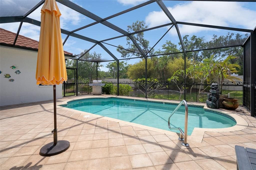 Glass Ceilings, Interior, Pool, Sun Room