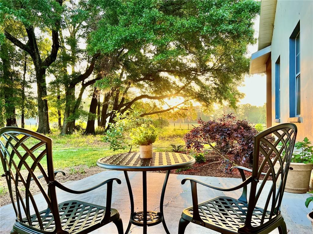 Backyard, Exterior