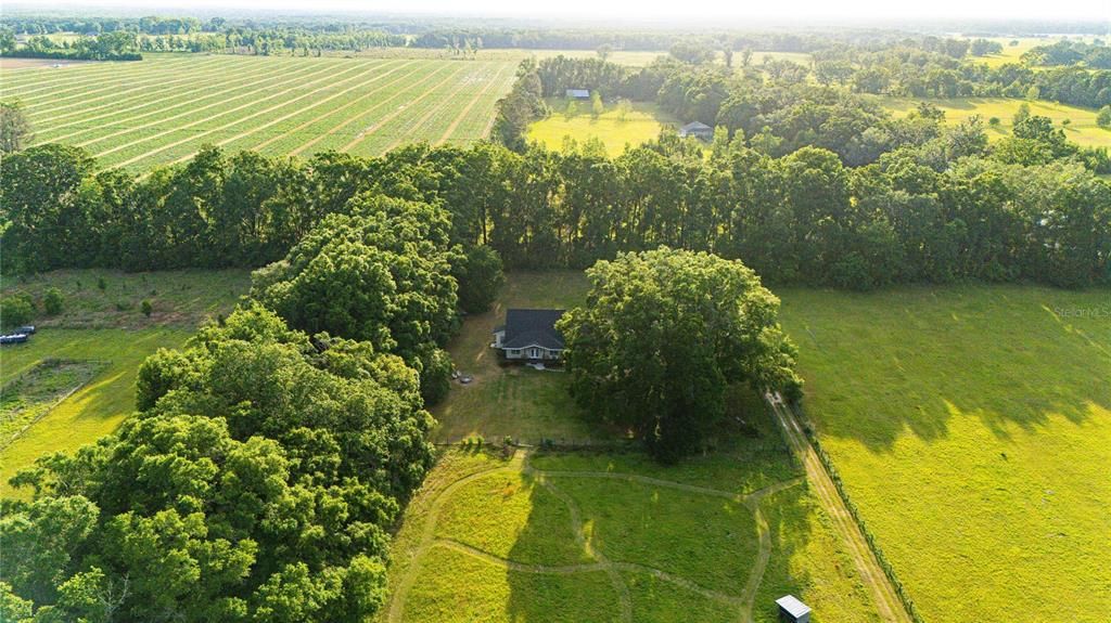 Exterior, Drone