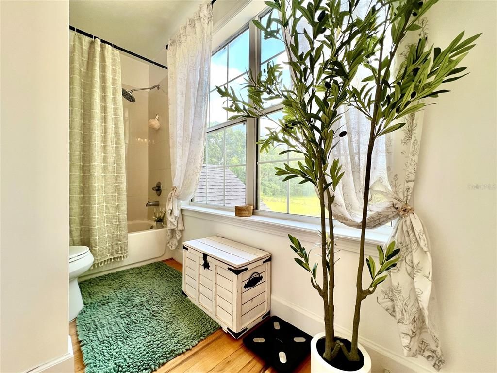 Bathroom, Interior, Wood Texture Flooring