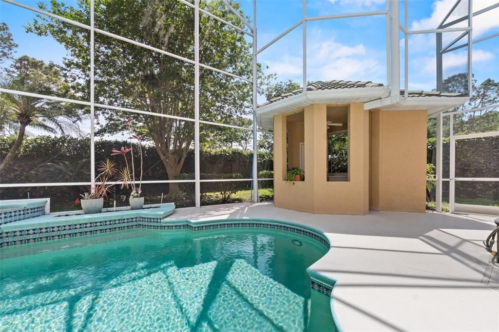 Glass Ceilings, Interior, Pool, Sun Room