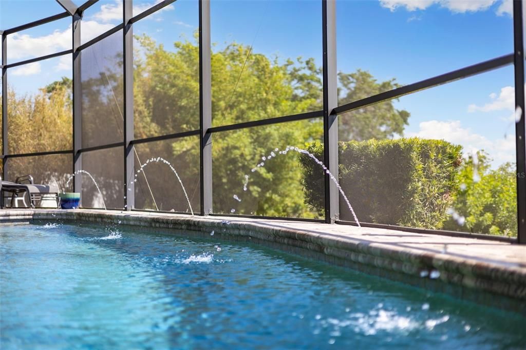 Glass Ceilings, Interior, Pool, Sun Room