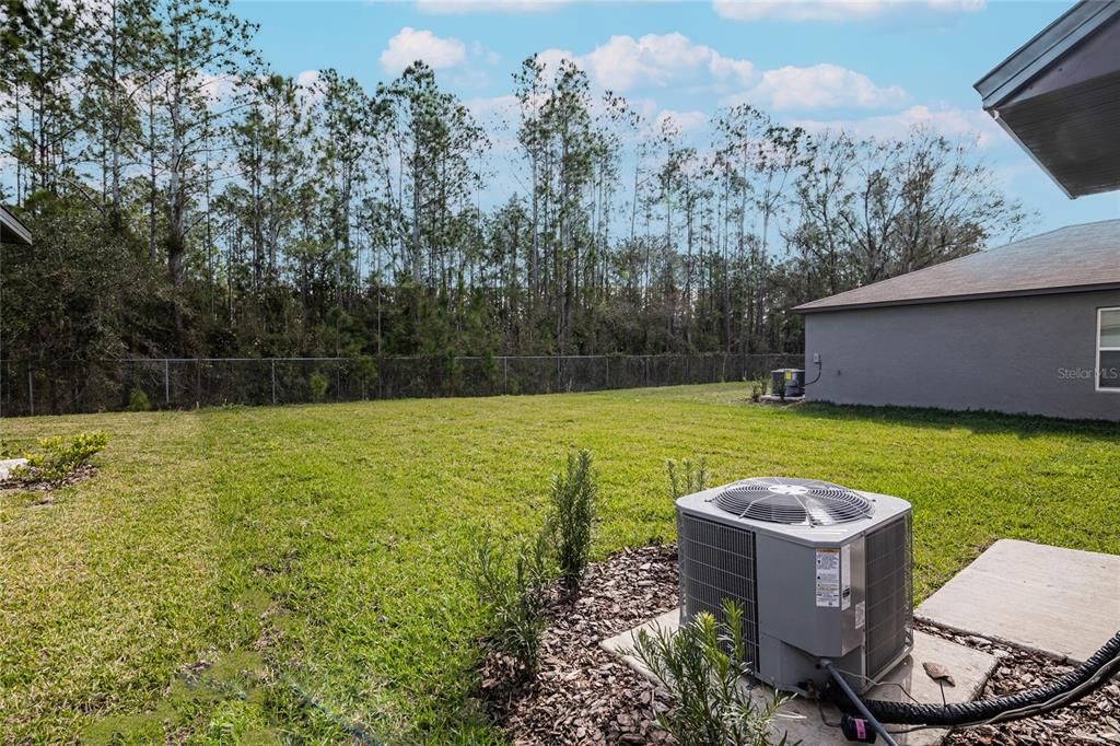 Backyard, Exterior