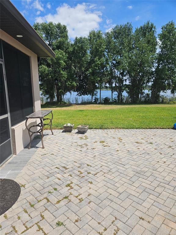 Backyard, Exterior, Water