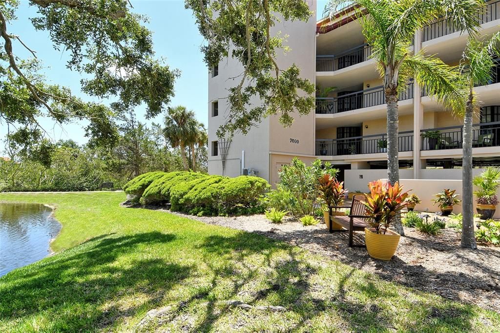 Backyard, Exterior, Water