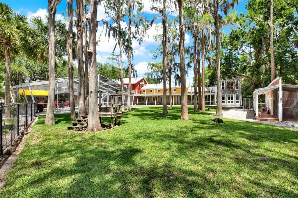 Backyard, Exterior