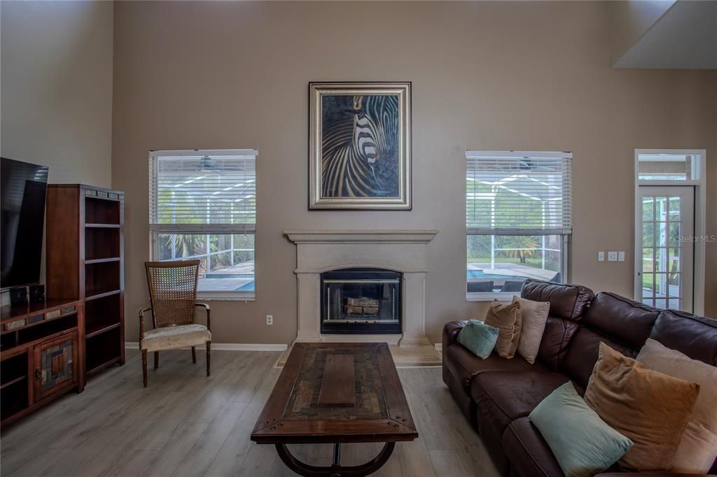 Fireplace, Interior, Living room, Wood Texture Flooring