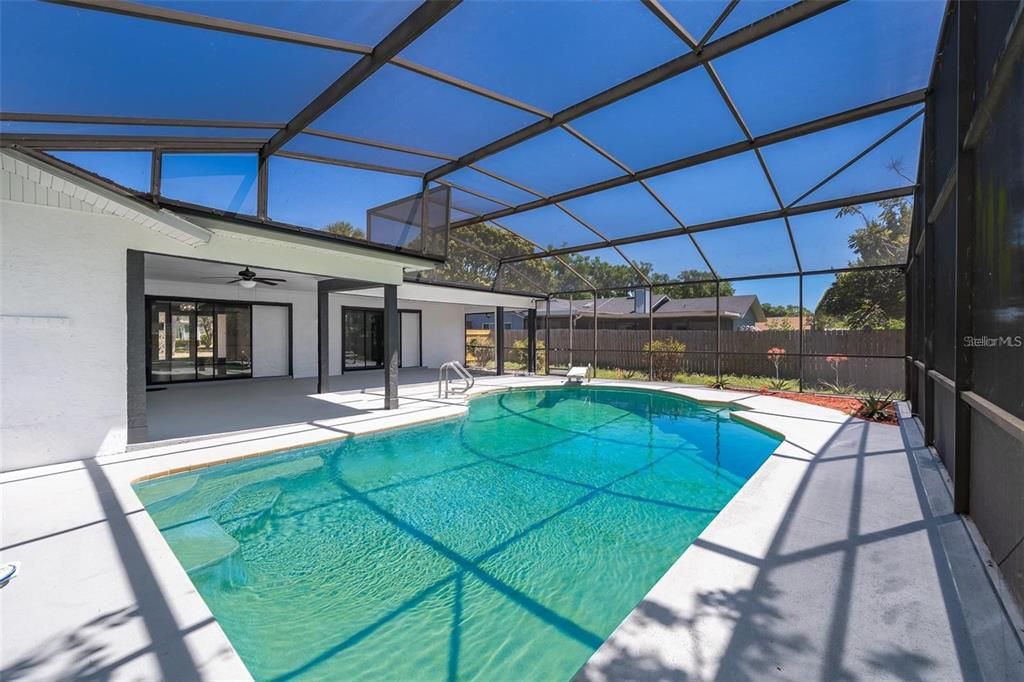 Glass Ceilings, Interior, Pool, Sun Room