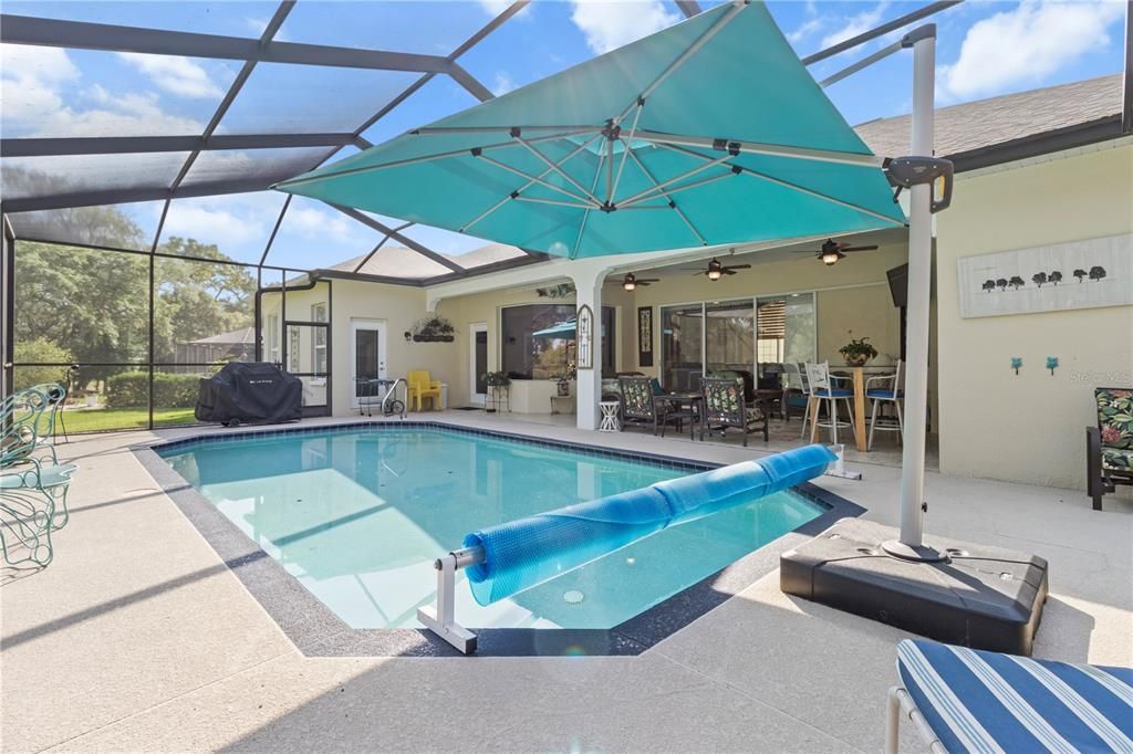 Glass Ceilings, Interior, Pool, Sun Room