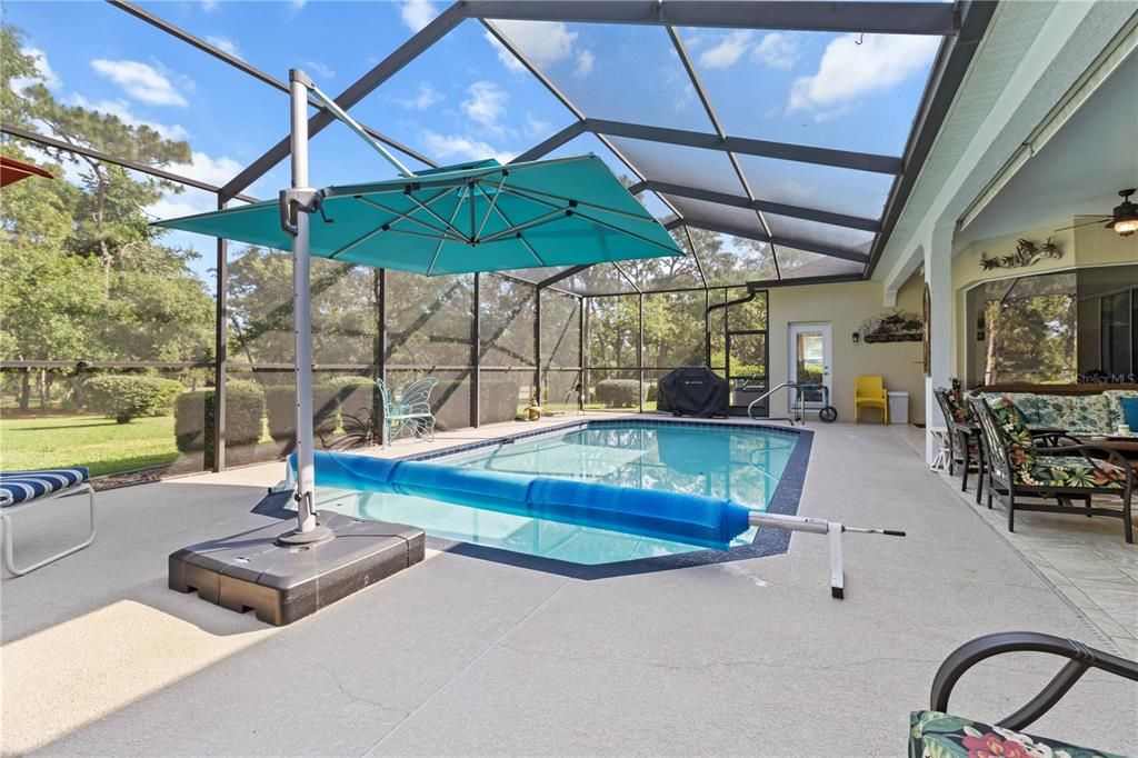 Glass Ceilings, Interior, Pool, Sun Room