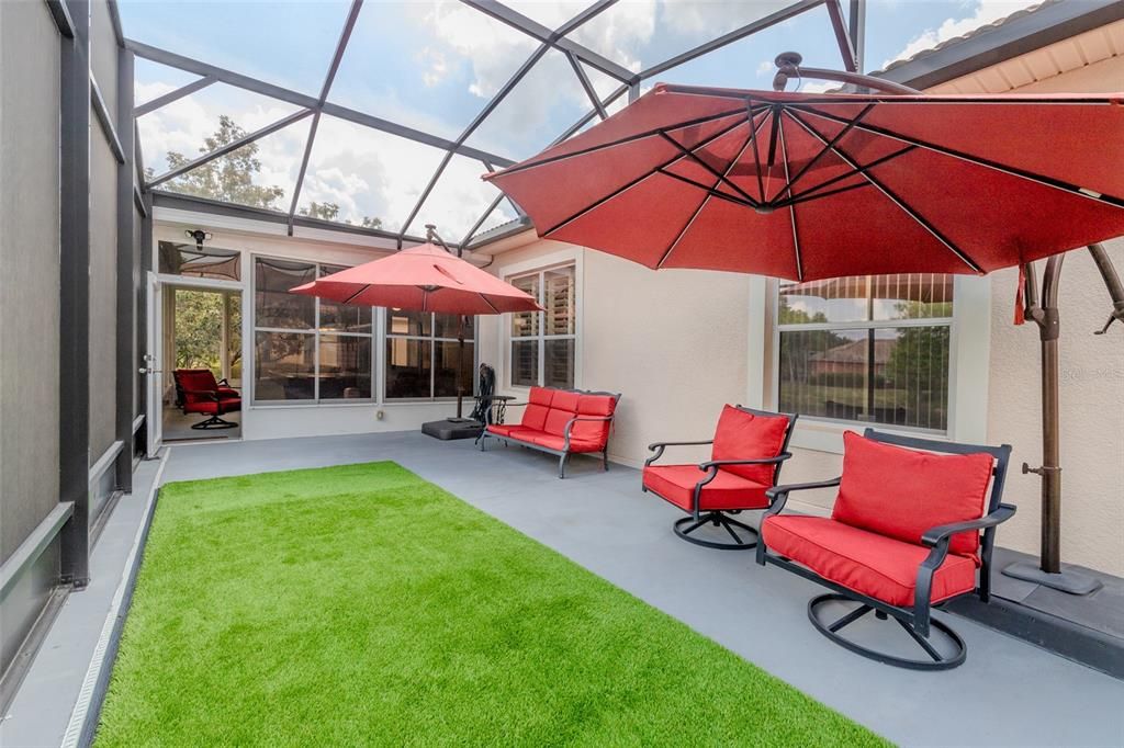 Glass Ceilings, Interior, Sun Room
