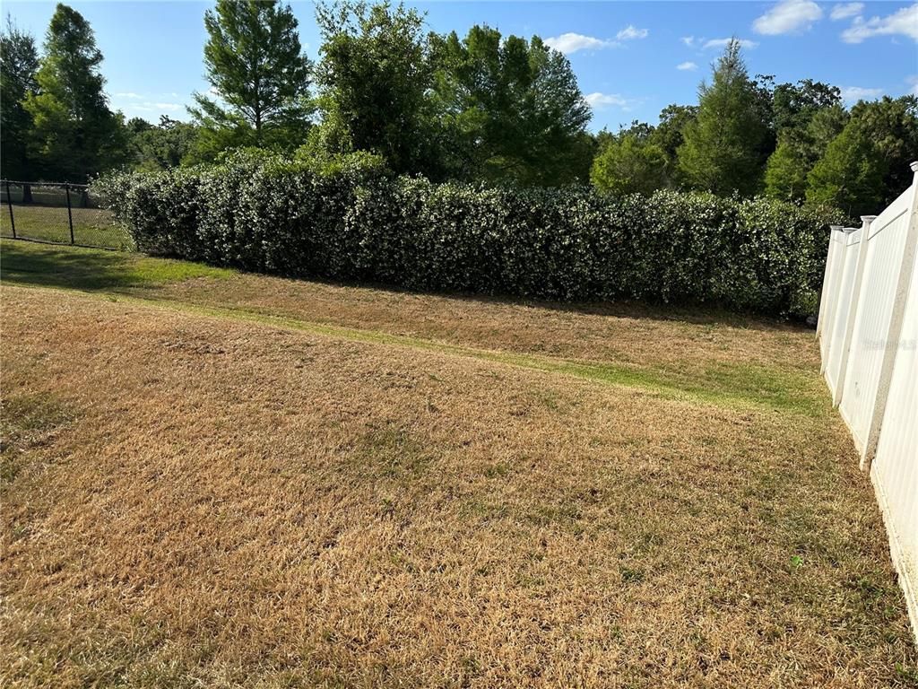 Backyard, Exterior