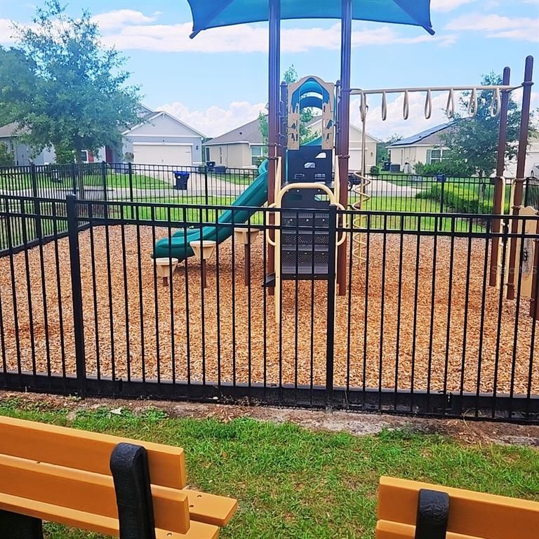Backyard, Exterior, Playground