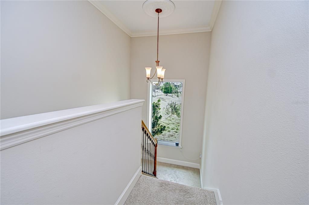 Interior, Pendant Lights