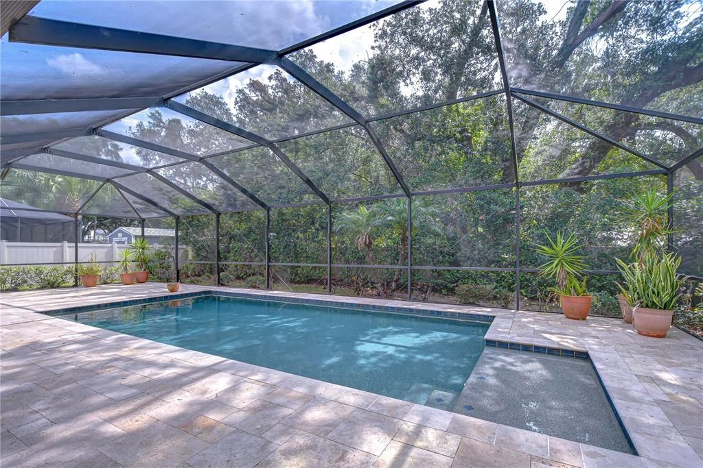 Glass Ceilings, Interior, Pool, Sun Room