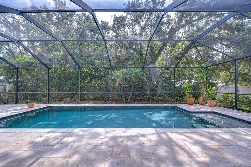 Glass Ceilings, Interior, Pool, Sun Room