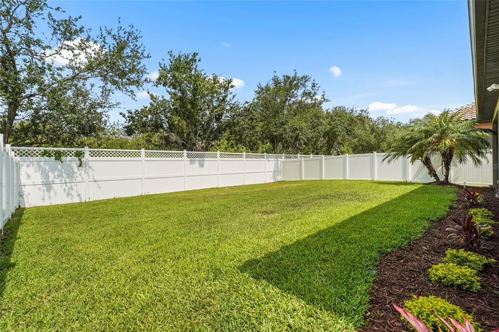 Backyard, Exterior
