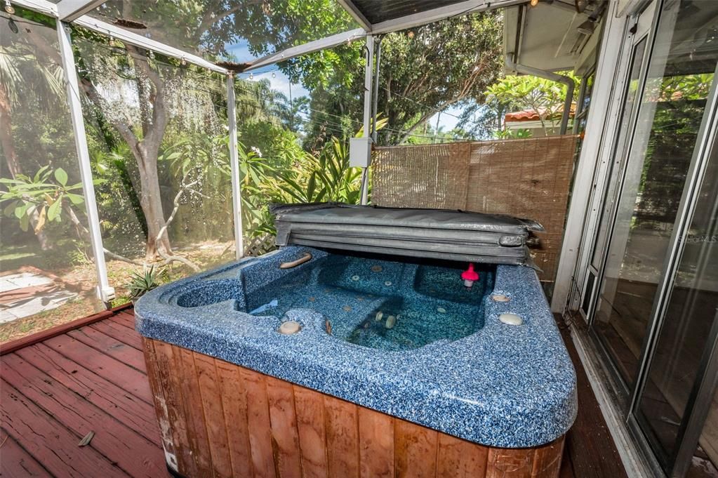 Hot Tub, Interior, Sun Room