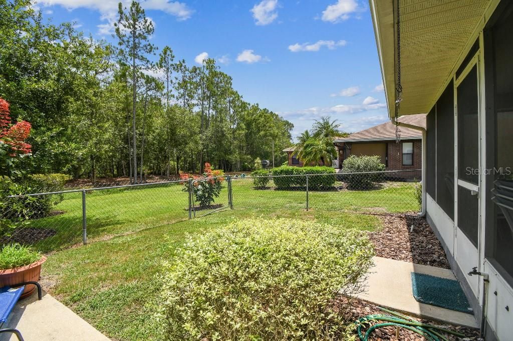 Backyard, Exterior