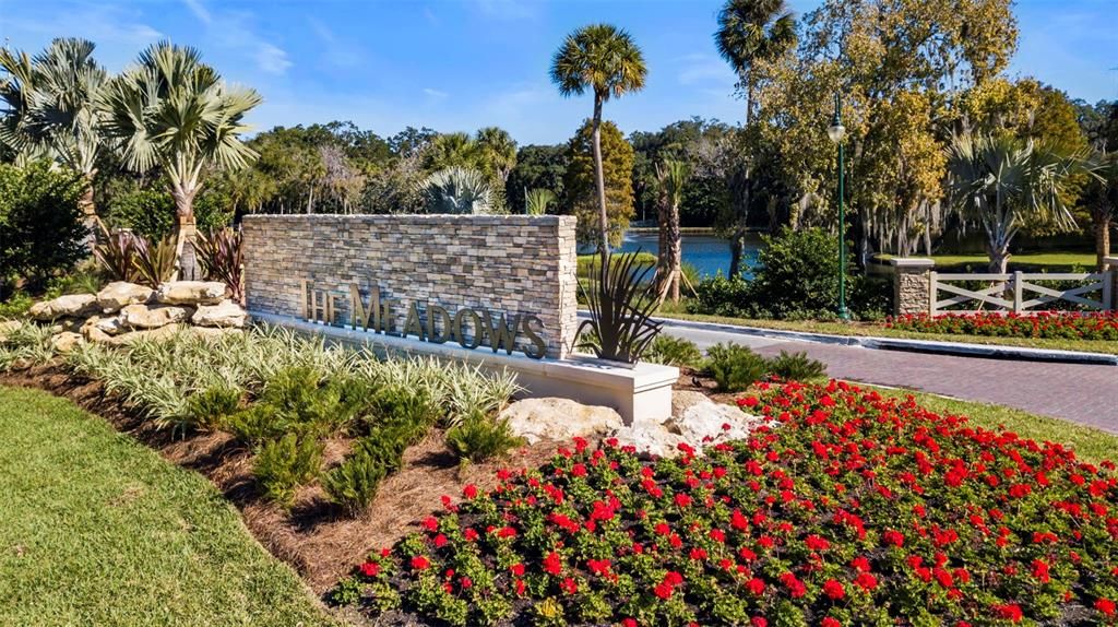 Backyard, Exterior, Pool, Water