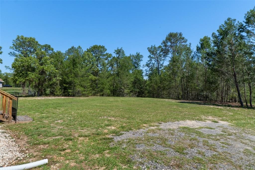 Backyard, Exterior