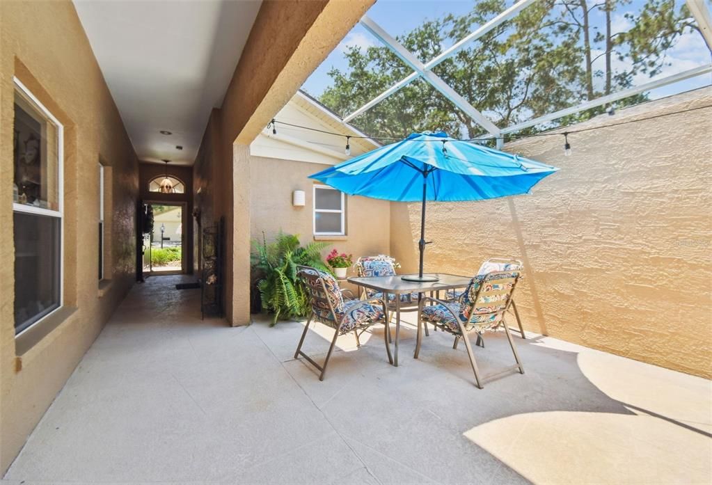 Glass Ceilings, Interior, Sun Room