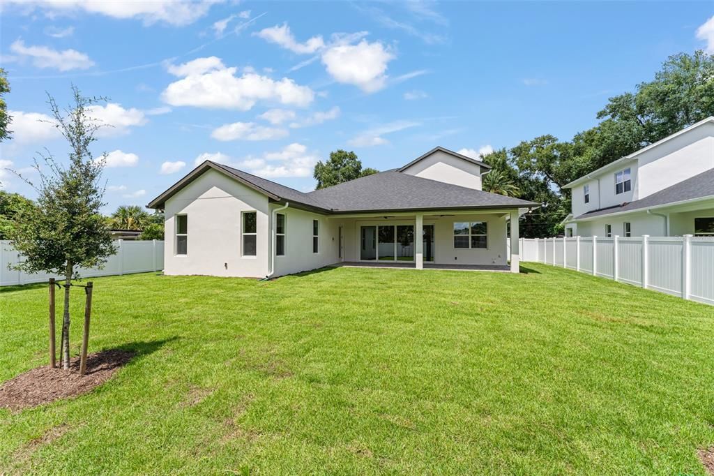 Backyard, Exterior