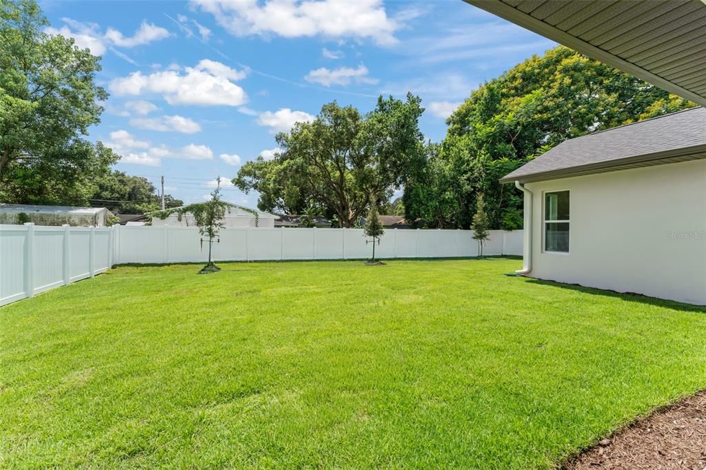 Backyard, Exterior