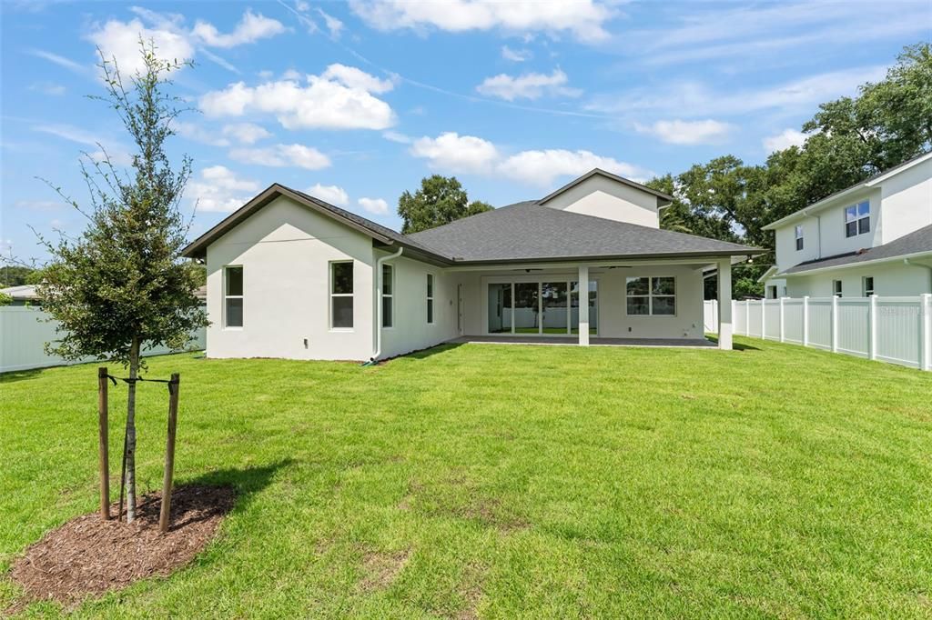Backyard, Exterior