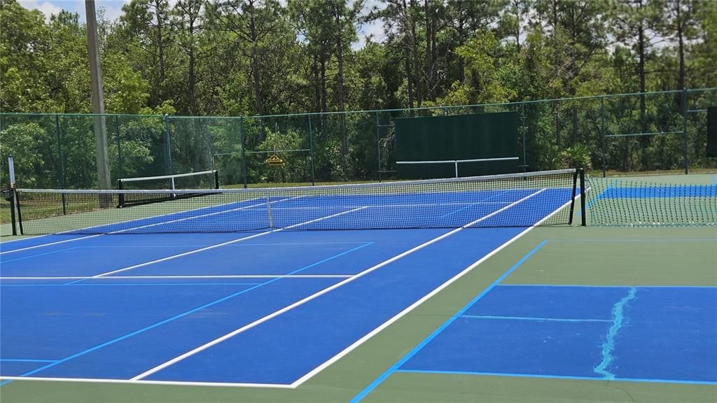 Exterior, Tennis Courts