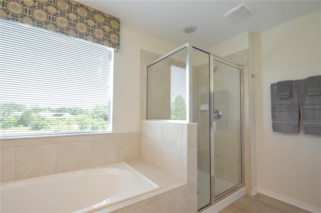 Bathroom, Glass Shower, Interior, Wood Texture Flooring