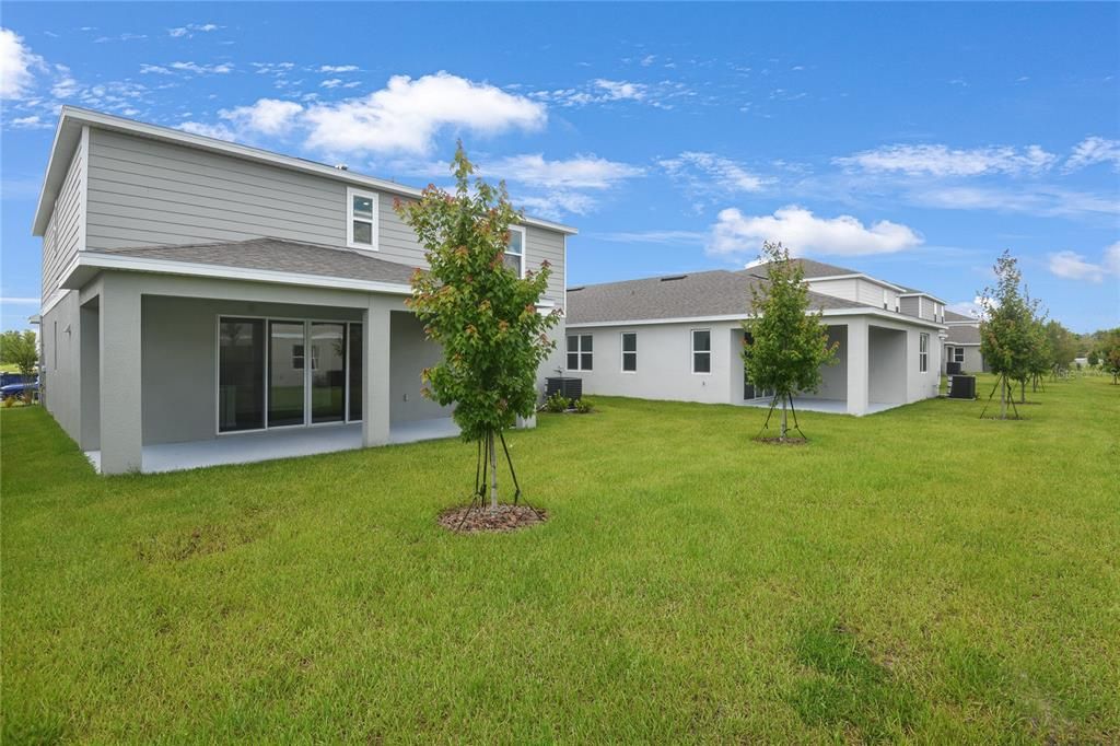 Backyard, Exterior