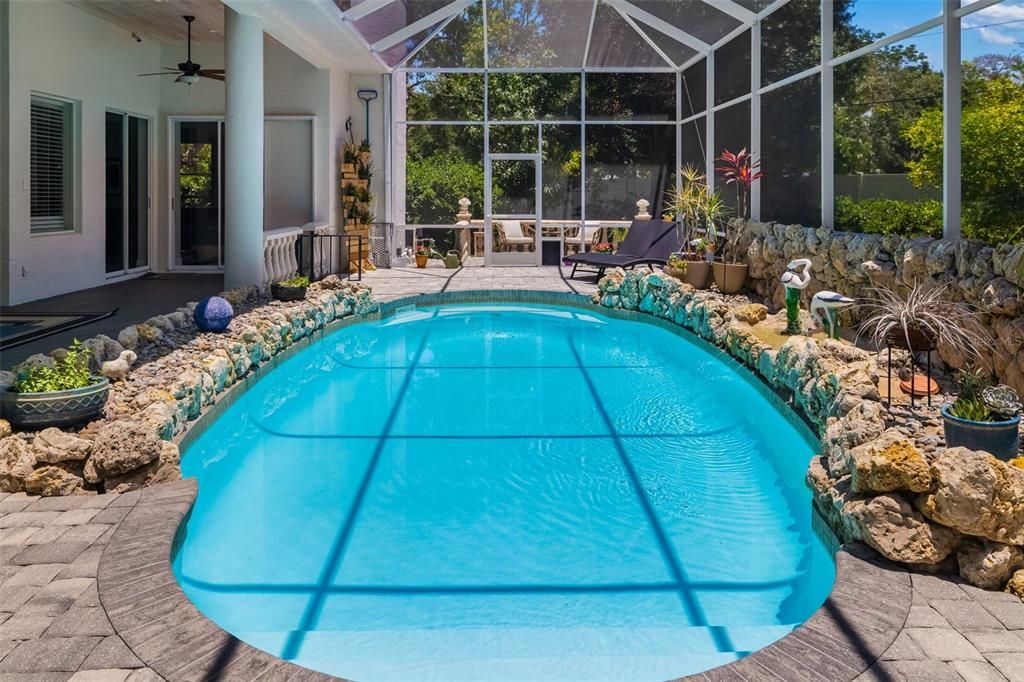 Glass Ceilings, Interior, Pool, Sun Room