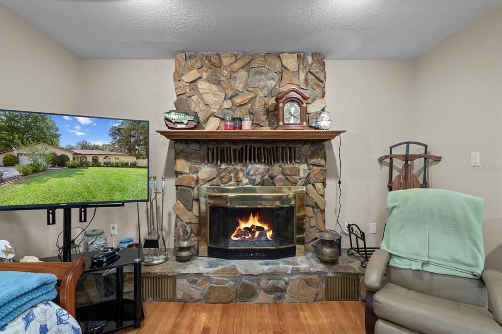 Fireplace, Interior, Stone Walls, Wood Texture Flooring