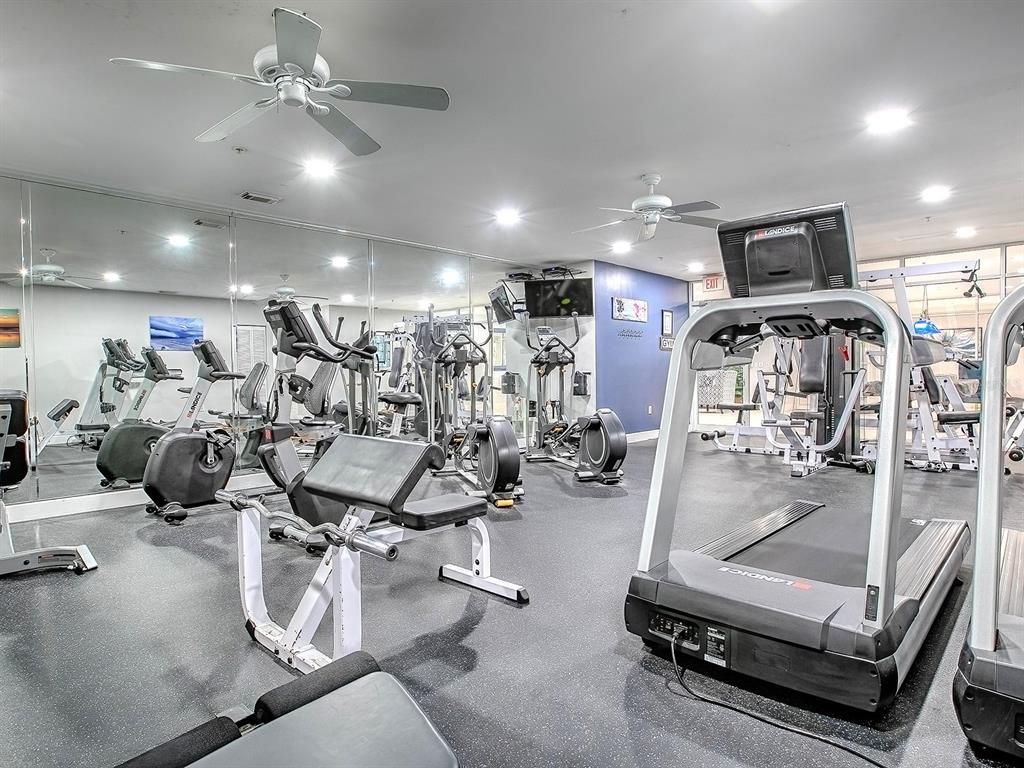 Fitness Equipment, Gym, Interior, Recessed Lighting